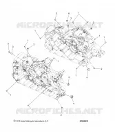 CARTER, PLUGS/DOWELS