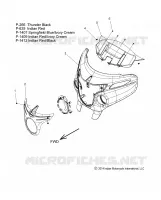 FAIRING ASM 1 - N15TCAAA/TRAAA ALL OPTIONS (49INDIANFAIRING15R1)