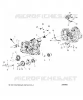 MOTORE, OIL SYSTEM