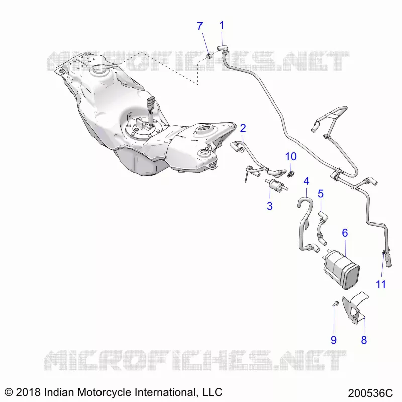 CARBURANTE LINES AND CANISTER (EVAP)