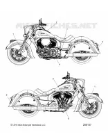 DECALS