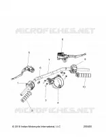 STEERING, MANUBRIO ASSEMBLY