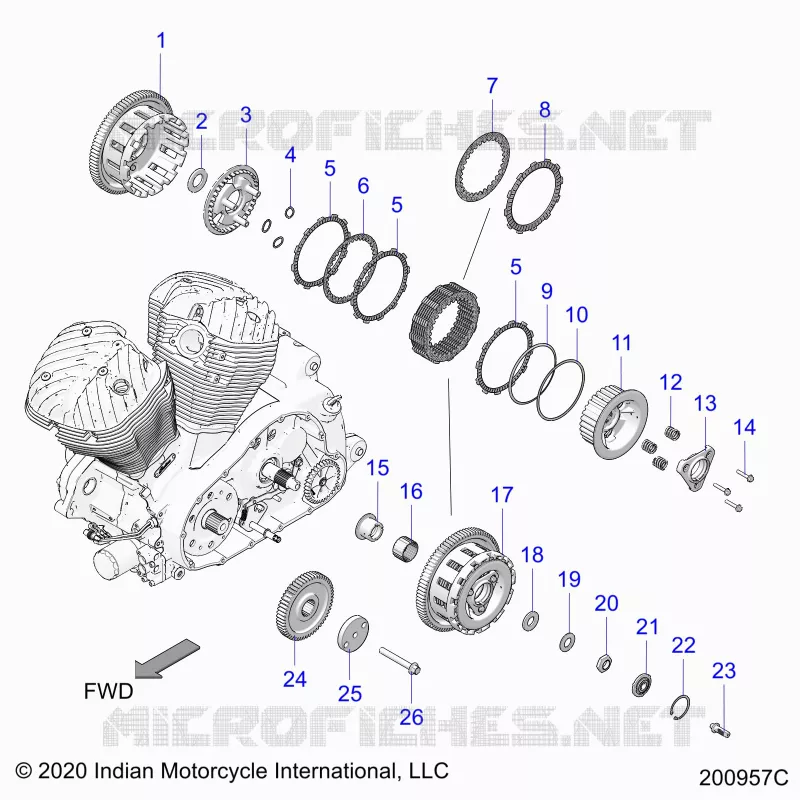 TRASMISSIONE, CLUTCH AND PRIMARY DRIVE
