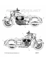 DECALS