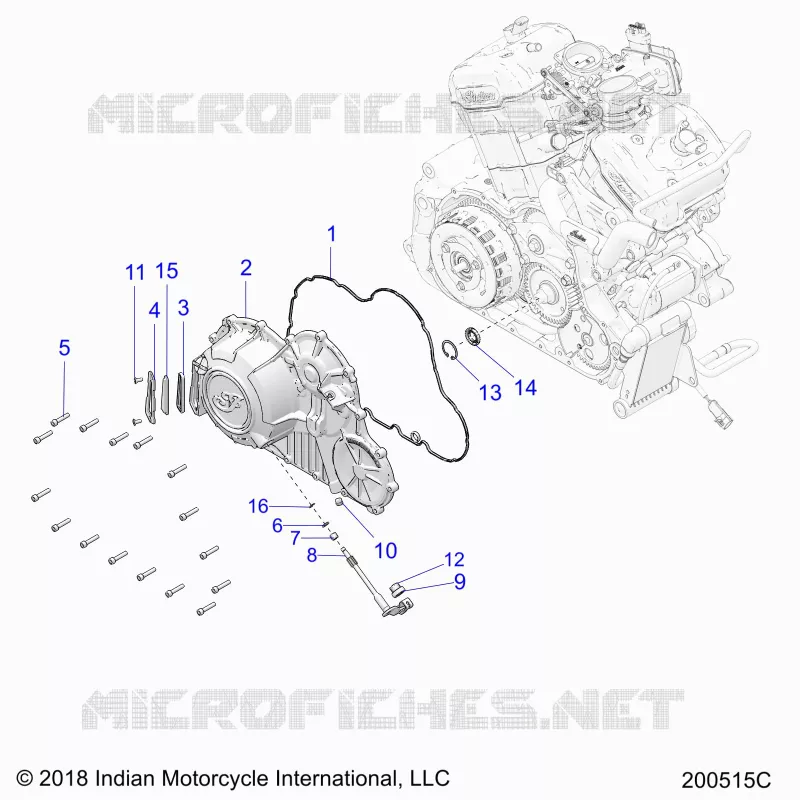ENGINE, PRIMARY AND COPERCHIO FRIZIONE