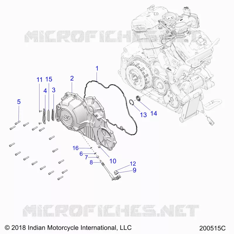 ENGINE, PRIMARY AND COPERCHIO FRIZIONE