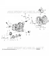 MOTORE, OIL SYSTEM