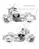 DECALS
