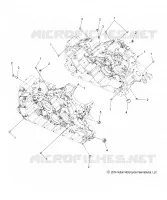 CARTER, PLUGS/DOWELS