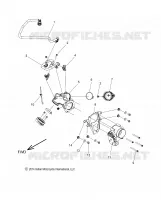 SISTEMA DI ALIMENTAZIONE CARBURANTE, FUEL RAIL/THROTTLE BODY