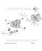 MOTORE, OIL SYSTEM