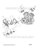 ENGINE, DISTRIBUZIONE CATENA AND SPROCKETS