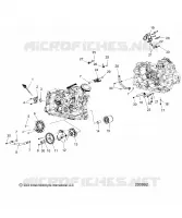 MOTORE, OIL SYSTEM