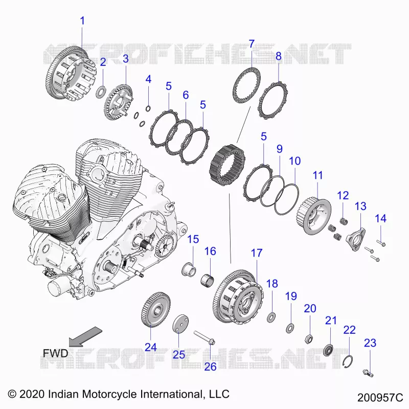 TRASMISSIONE, CLUTCH AND PRIMARY DRIVE