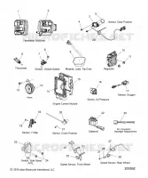 ELETTRICO, COMPONENTS