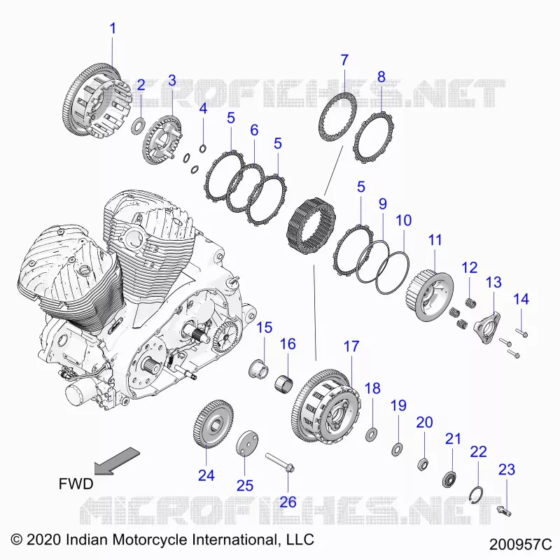 TRASMISSIONE, CLUTCH AND PRIMARY DRIVE