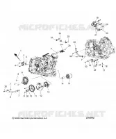 MOTORE, OIL SYSTEM