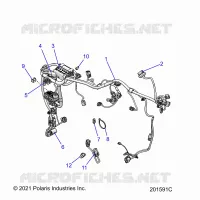 ELETTRICO, WIRE HARNESS