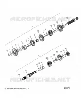 TRASMISSIONE, INPUT/OUTPUT SHAFT ASM.