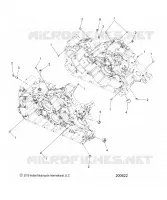 CARTER, PLUGS/DOWELS