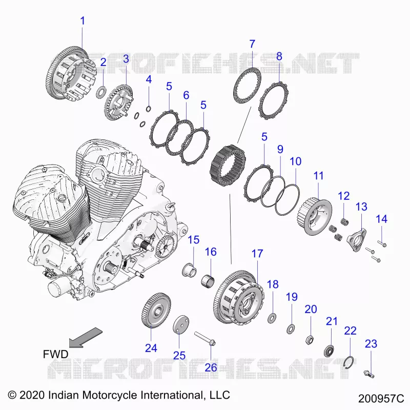 TRASMISSIONE, CLUTCH AND PRIMARY DRIVE