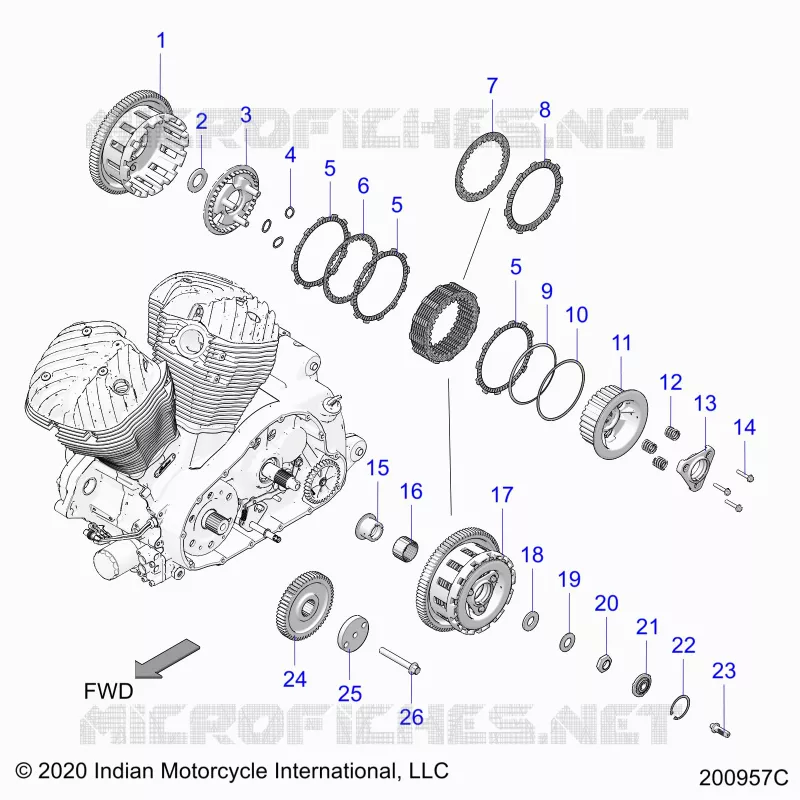 TRASMISSIONE, CLUTCH AND PRIMARY DRIVE