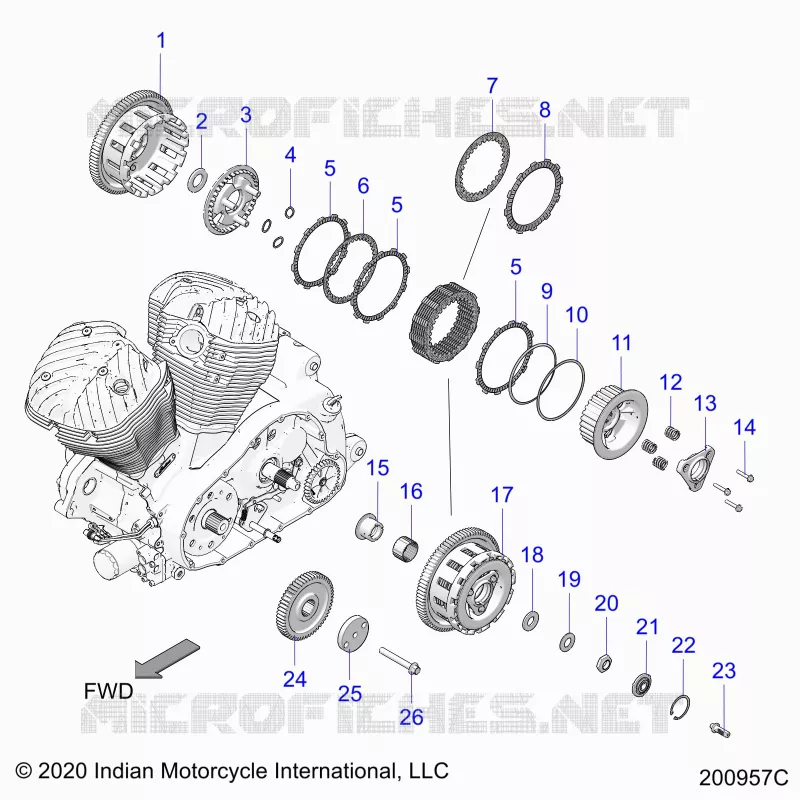 TRASMISSIONE, CLUTCH AND PRIMARY DRIVE