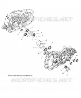 CRANKCASE BEARINGS - N14CCC/CCV/TCA ALL OPTIONS (49INDIANCRANKCASEBRG14)