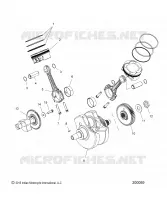 ENGINE, PISTON AND ALBERO MOTORE